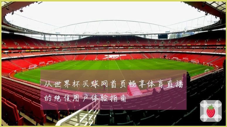 从世界杯买球网首页畅享体育直播的绝佳用户体验指南