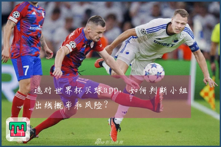 选对世界杯买球app，如何判断小组出线概率和风险？
