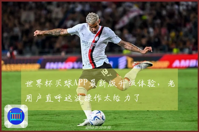 世界杯买球APP最新版升级体验，老用户直呼这波操作太给力了