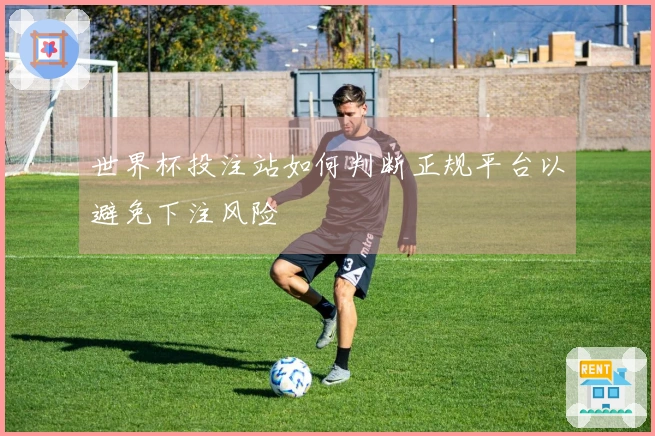 世界杯投注站如何判断正规平台以避免下注风险
