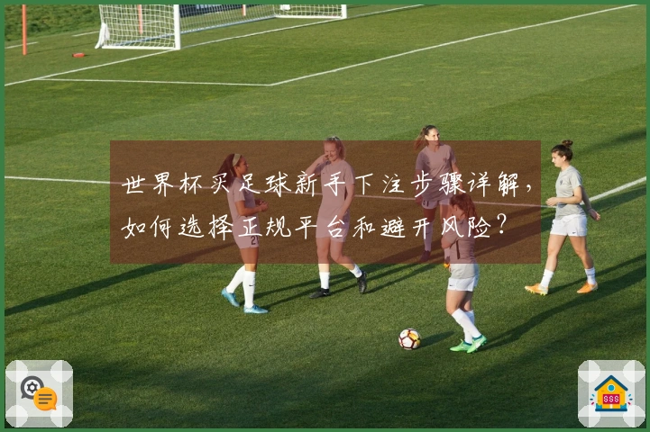 世界杯买足球新手下注步骤详解，如何选择正规平台和避开风险？