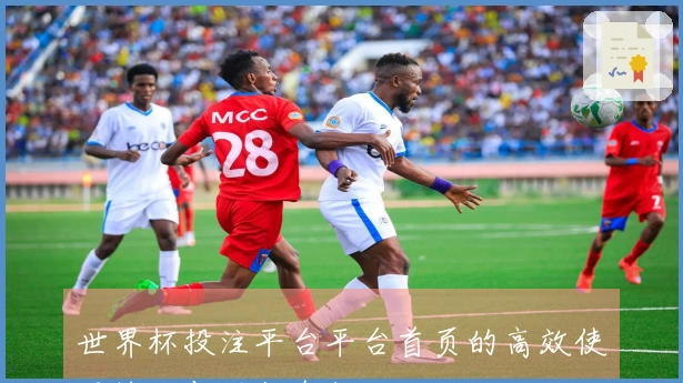 世界杯投注平台平台首页的高效使用技巧与功能介绍