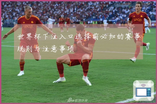 世界杯下注入口选择前必知的赛事规则与注意事项