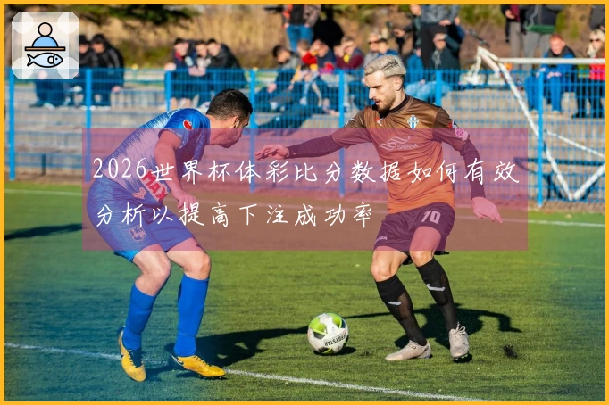 2026世界杯体彩比分数据如何有效分析以提高下注成功率
