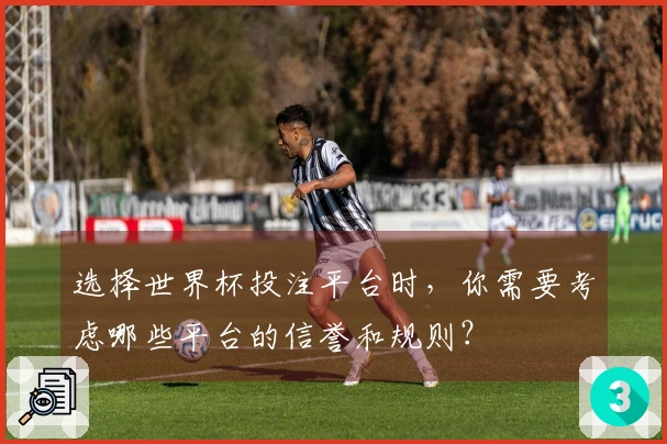 选择世界杯投注平台时，你需要考虑哪些平台的信誉和规则？