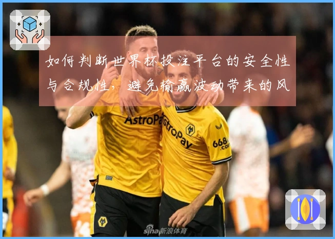 如何判断世界杯投注平台的安全性与合规性，避免输赢波动带来的风险