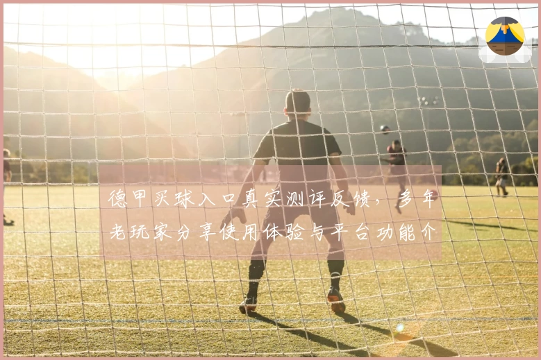 德甲买球入口真实测评反馈，多年老玩家分享使用体验与平台功能介绍