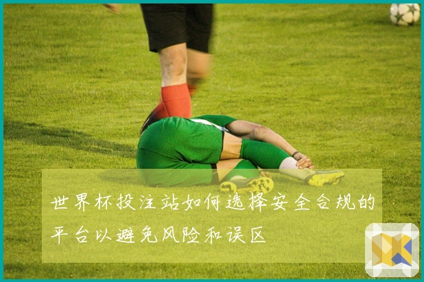 世界杯投注站如何选择安全合规的平台以避免风险和误区