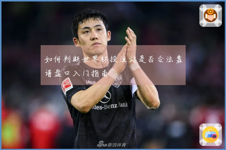 如何判断世界杯投注站是否合法靠谱盘口入门指南