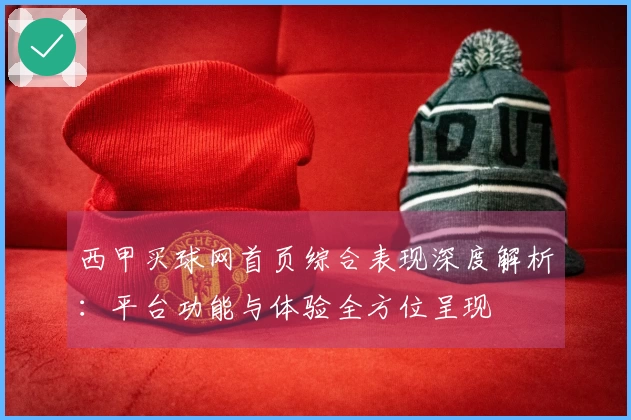 西甲买球网首页综合表现深度解析：平台功能与体验全方位呈现