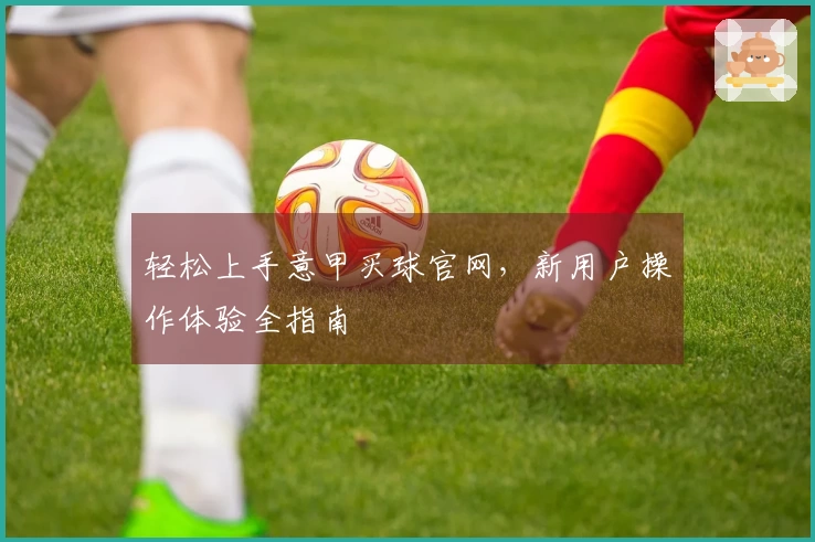 轻松上手意甲买球官网，新用户操作体验全指南