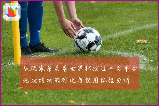 从玩家角度看世界杯投注平台平台地址的功能对比与使用体验分析