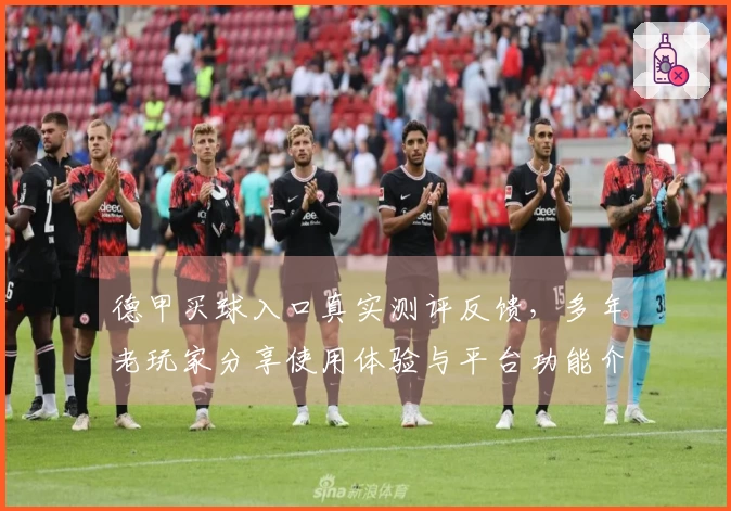 德甲买球入口真实测评反馈，多年老玩家分享使用体验与平台功能介绍